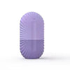 Facial Ice Roller Gua Sha Set